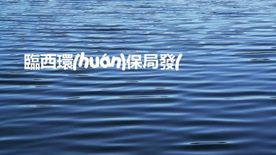 臨西環(huán)保局發(fā)布最新消息：成功實(shí)現(xiàn)垃圾分類(lèi)全覆蓋！